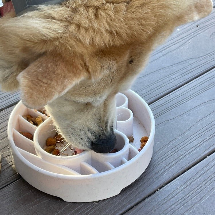 Java eBowl Deep Slow Feeder Dog Bowl-zoom-