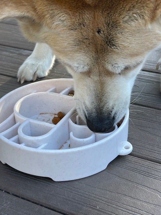 Java eBowl Deep Slow Feeder Dog Bowl - Aware House