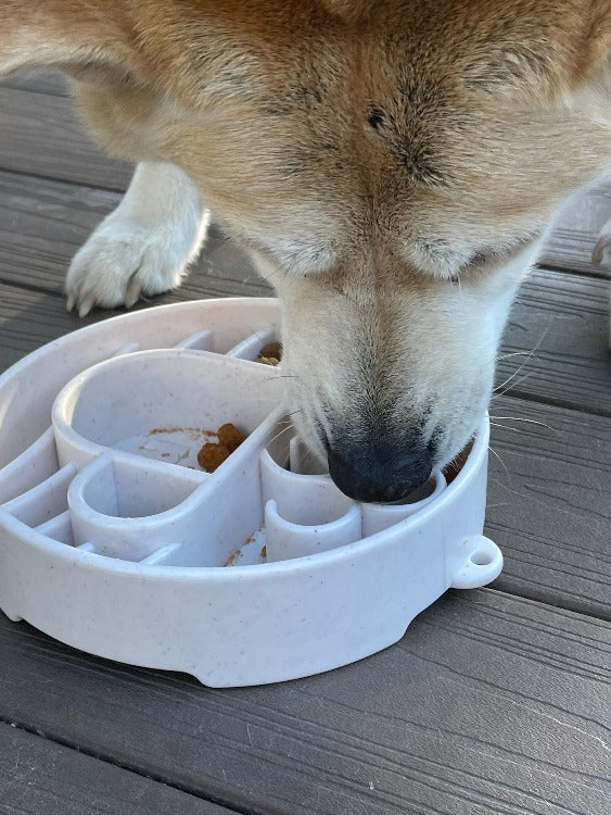 Java eBowl Deep Slow Feeder Dog Bowl-zoom-11