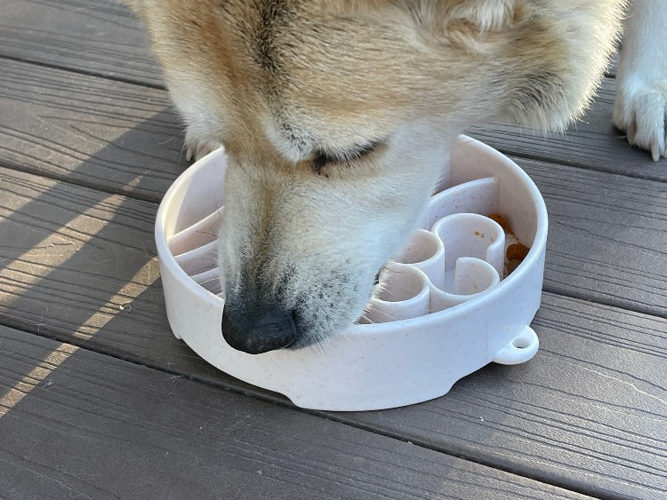 Java eBowl Deep Slow Feeder Dog Bowl-12