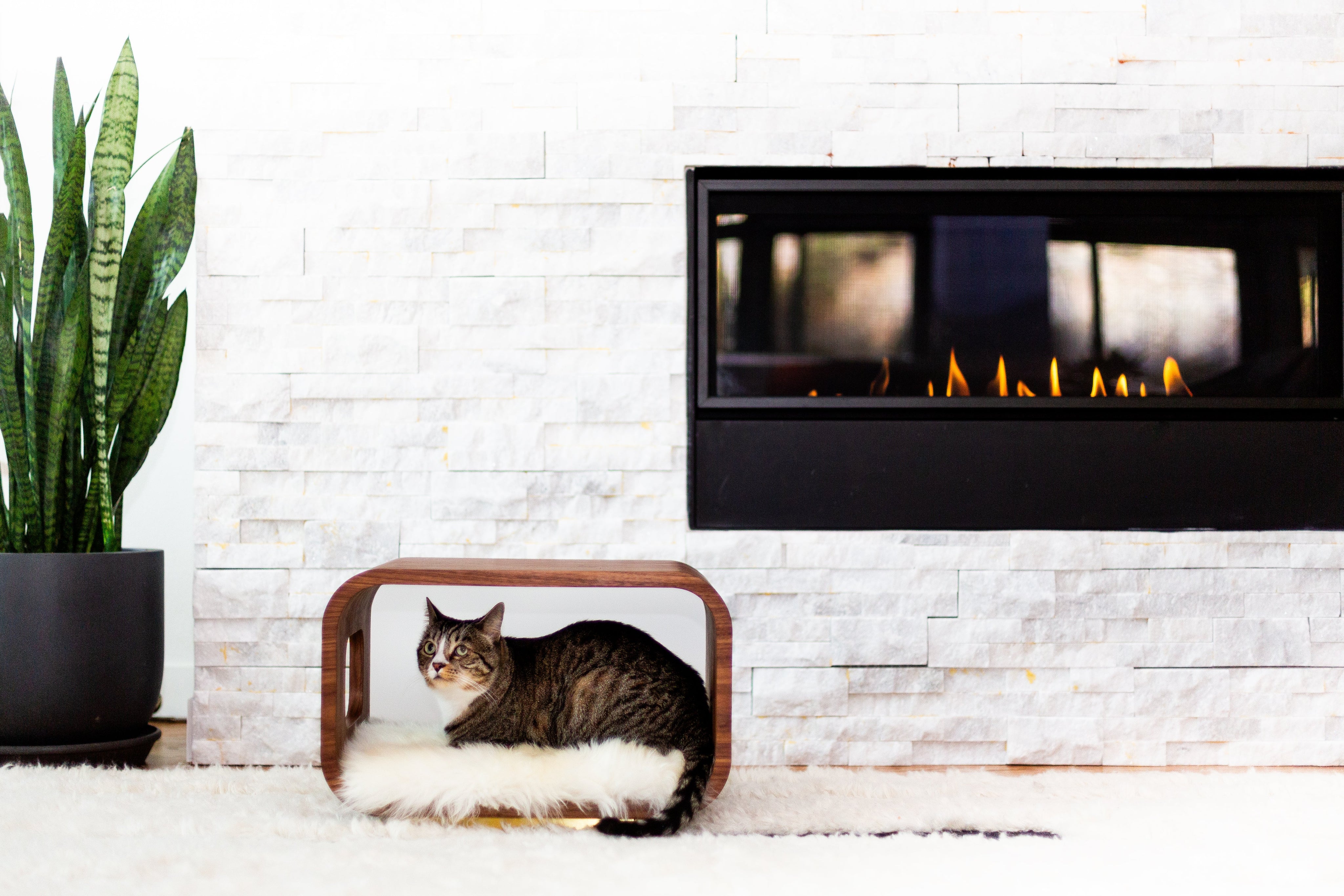 LUNA Bed in Walnut-zoom-10