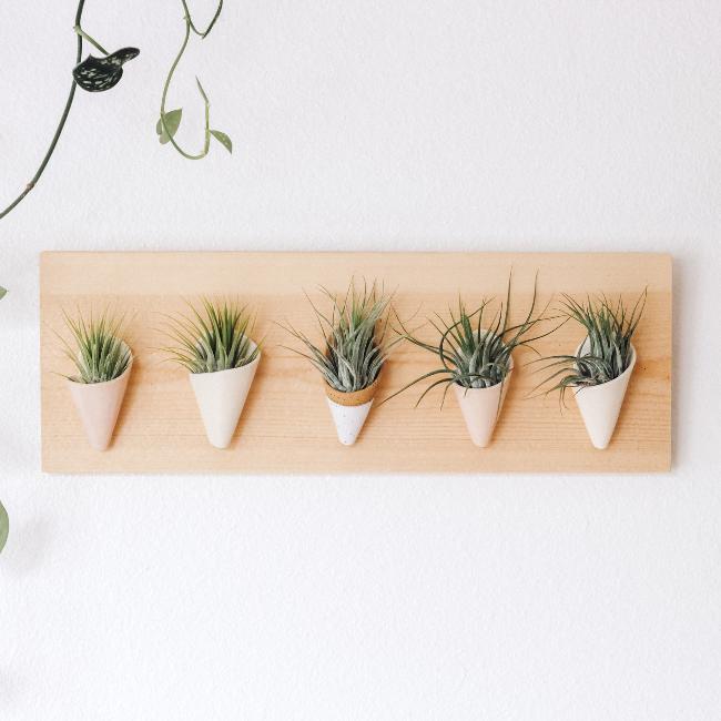 Horizontal Ceramic Wall Planter - Aware House