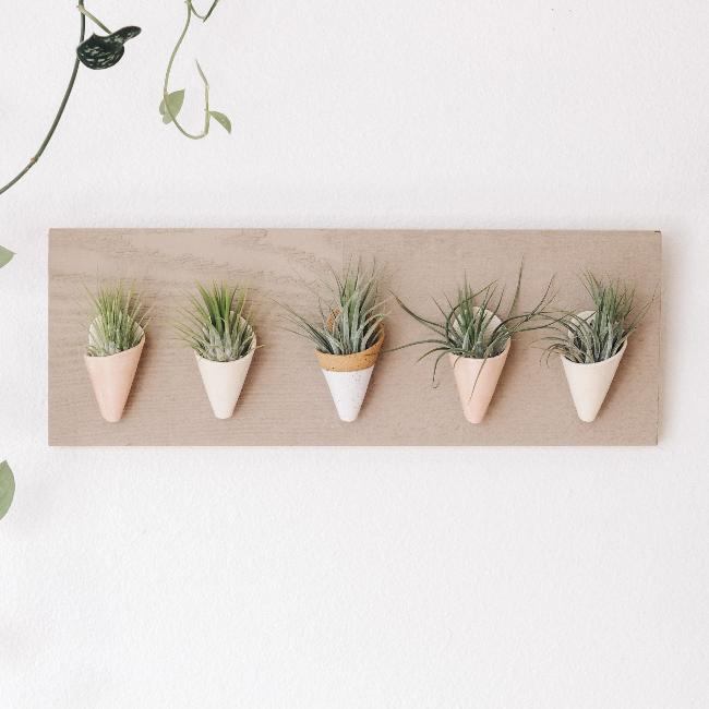 Horizontal Ceramic Wall Planter - Aware House
