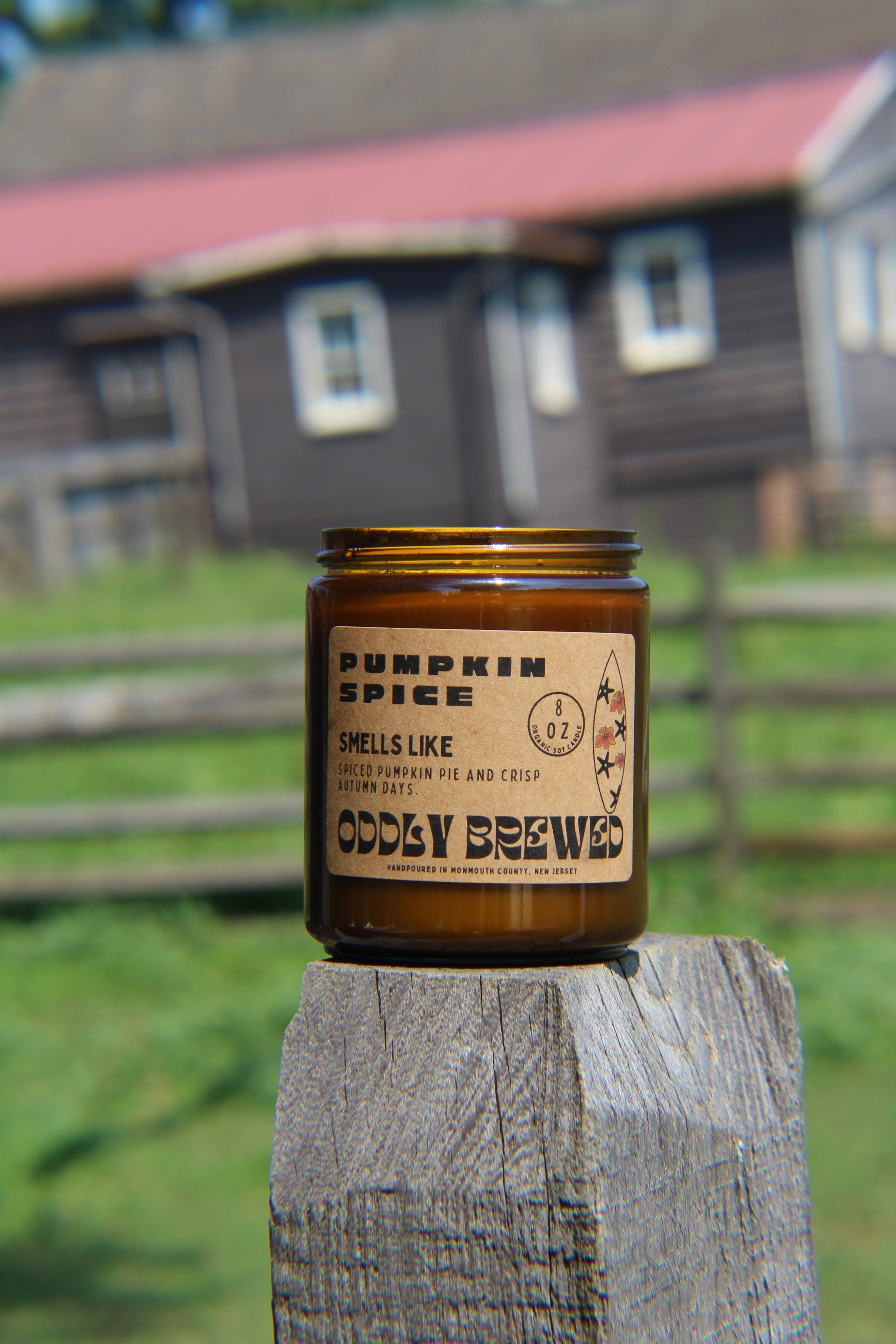 Pumpkin Spice Soy Candle-zoom-5