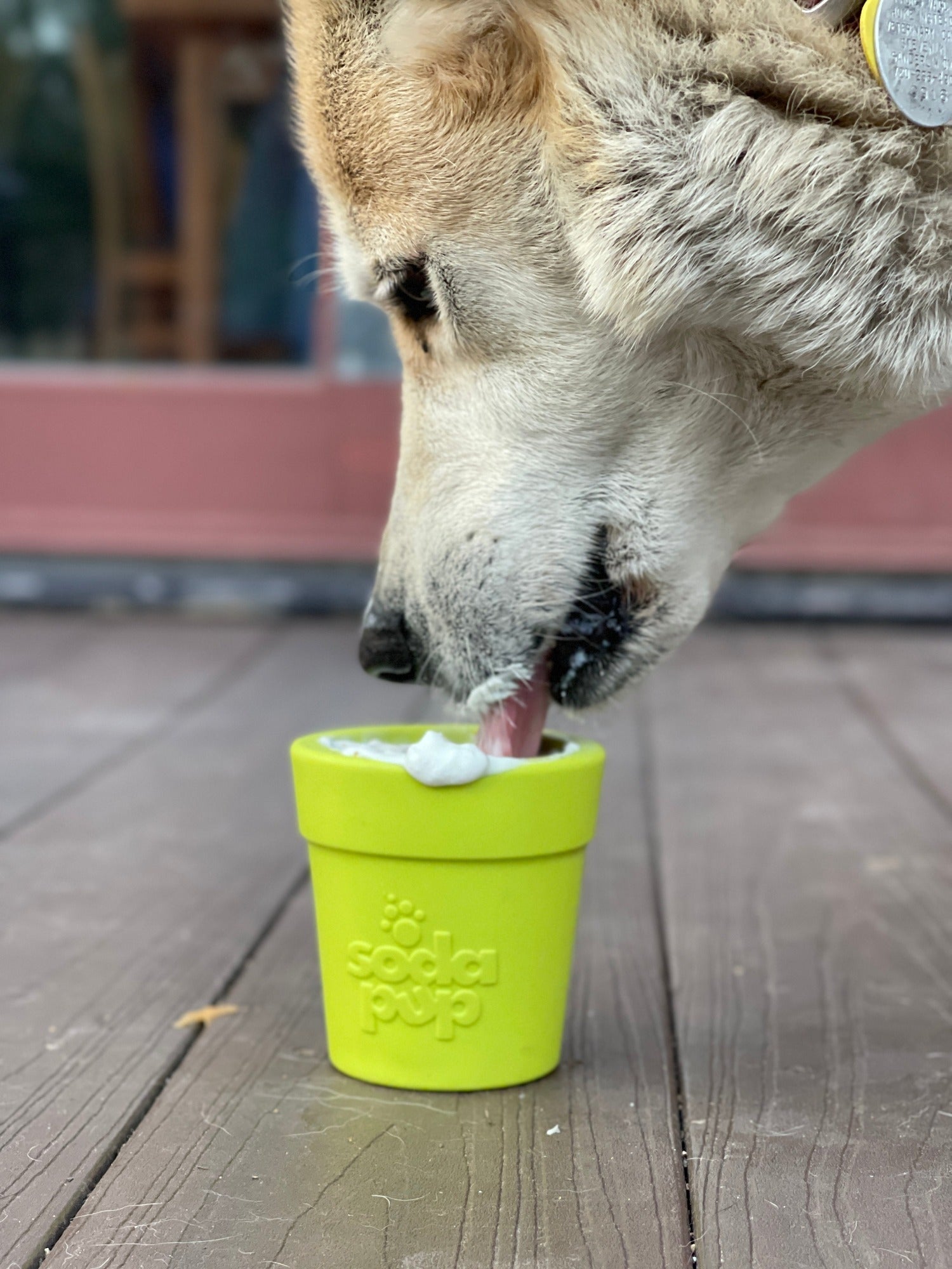 Large Flower Pot eCup Dog Treat Dispenser - Aware House
