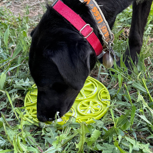 Citrus Design Lick Mat for Dogs and Cats-zoom-9