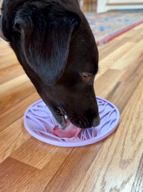 Tulip Design Lick Mat for Dogs and Cats - Aware House