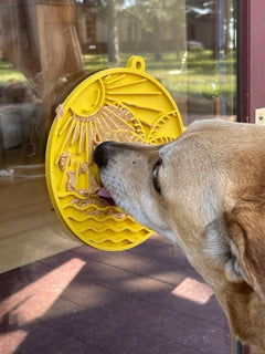 Sun n’ Sea Lick Mat with Suction Cups for Dogs & Cats - Aware House