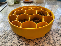 Honeycomb eBowl Deep Slow Feeder Dog Bowl - Aware House