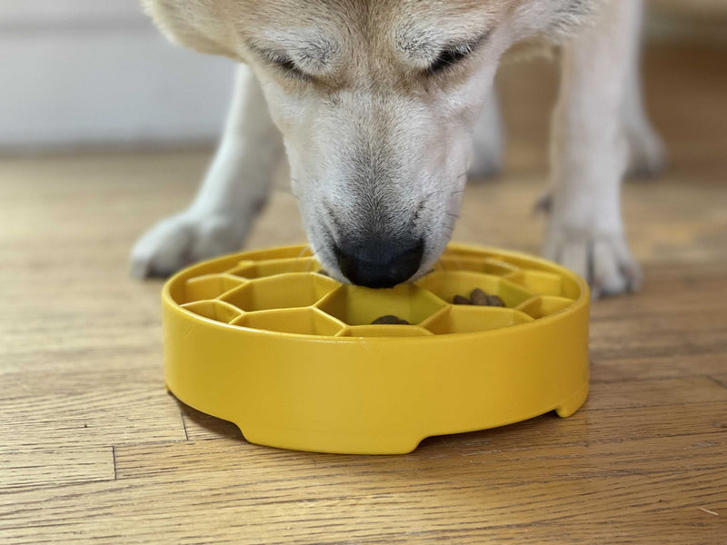 Honeycomb eBowl Deep Slow Feeder Dog Bowl-zoom-