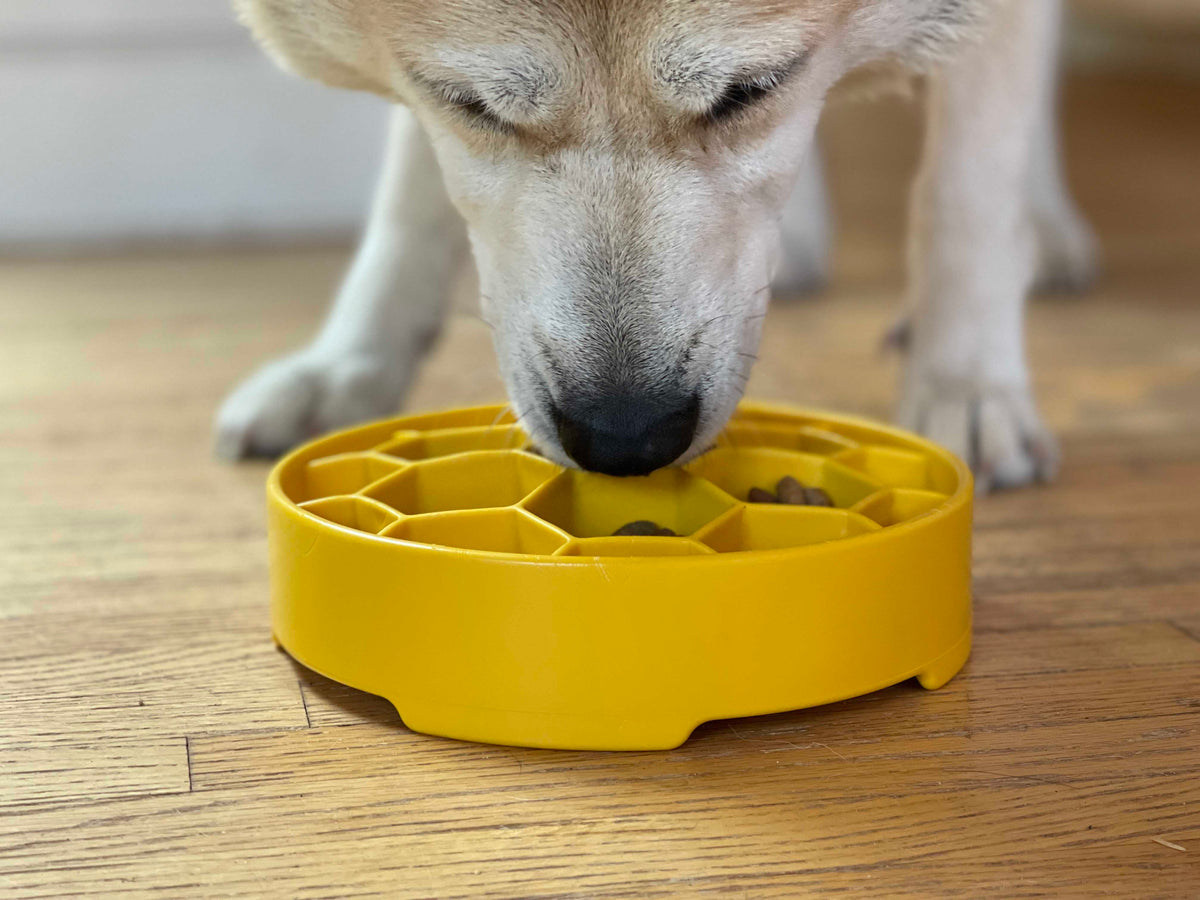 Honeycomb eBowl Deep Slow Feeder Dog Bowl-zoom-14
