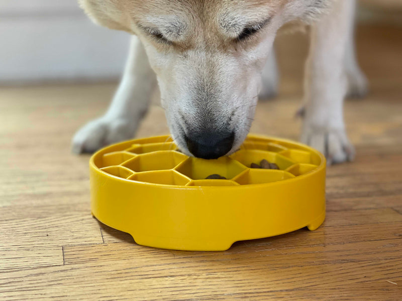 Honeycomb eBowl Deep Slow Feeder Dog Bowl-zoom-