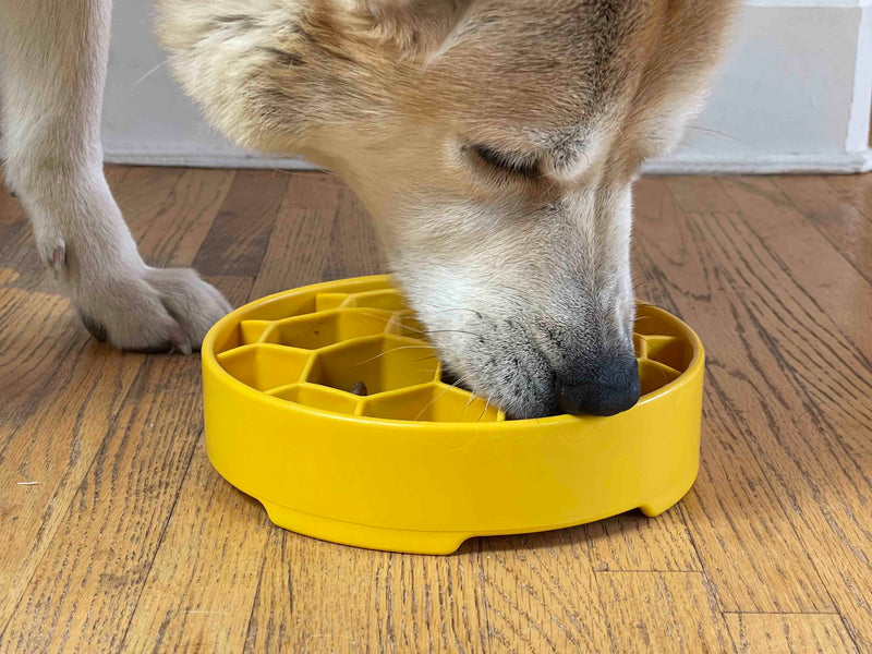 Honeycomb eBowl Deep Slow Feeder Dog Bowl-zoom-