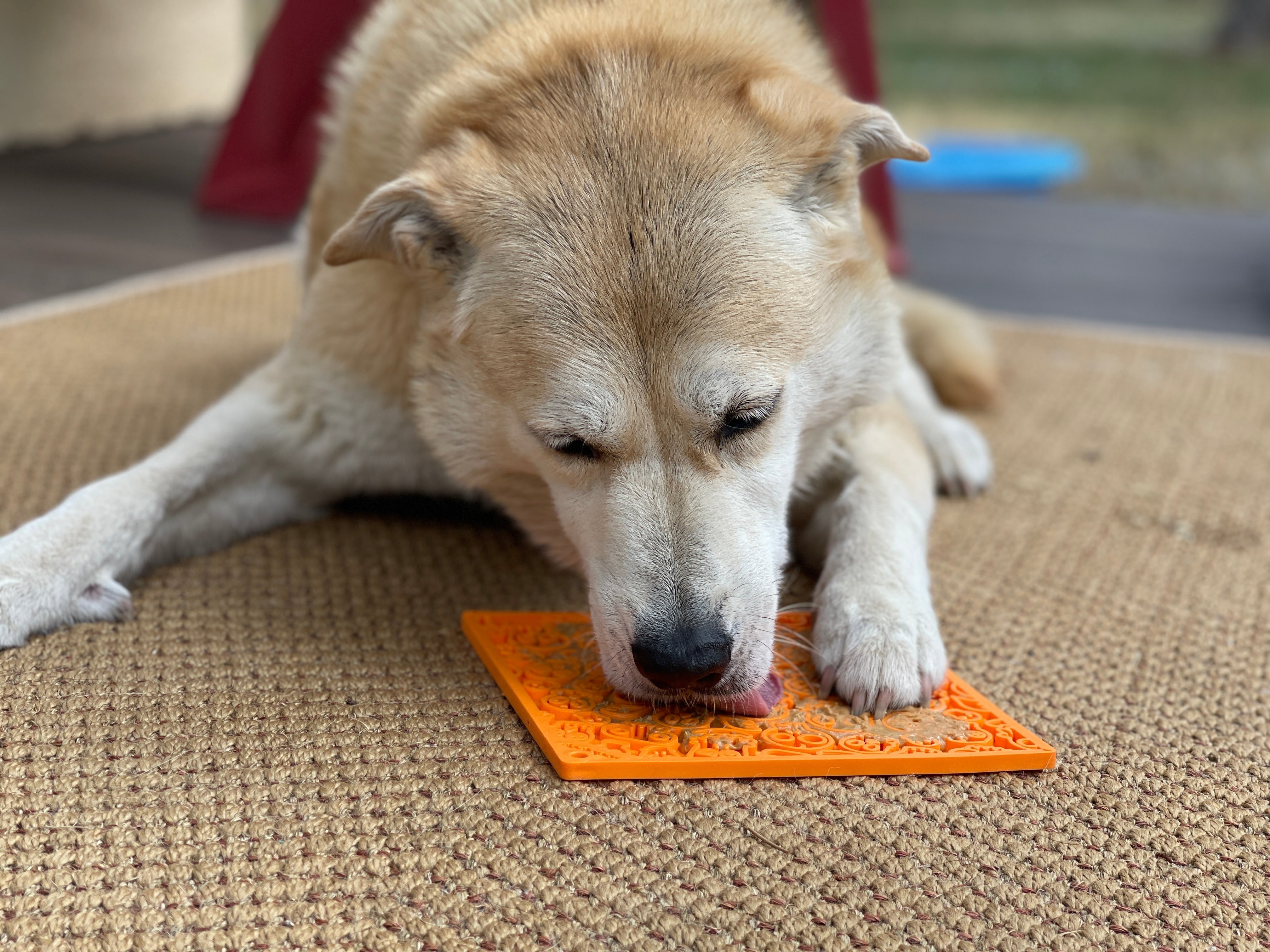 Zombie eMat - Enrichment Lick Mat for Dogs and Cats | Halloween Skull Design | SodaPup-zoom-8