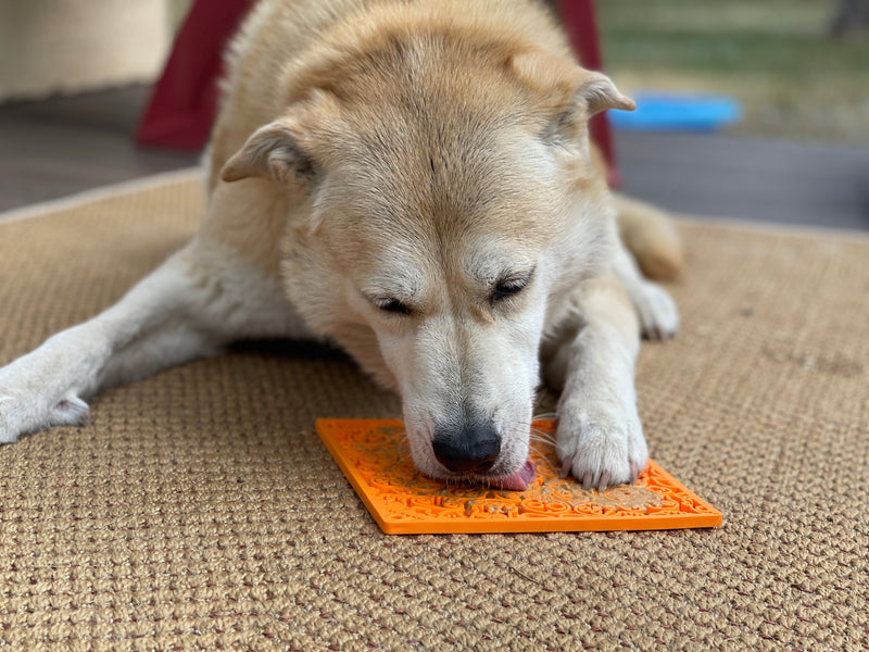 Zombie eMat - Enrichment Lick Mat for Dogs and Cats | Halloween Skull Design | SodaPup-zoom-