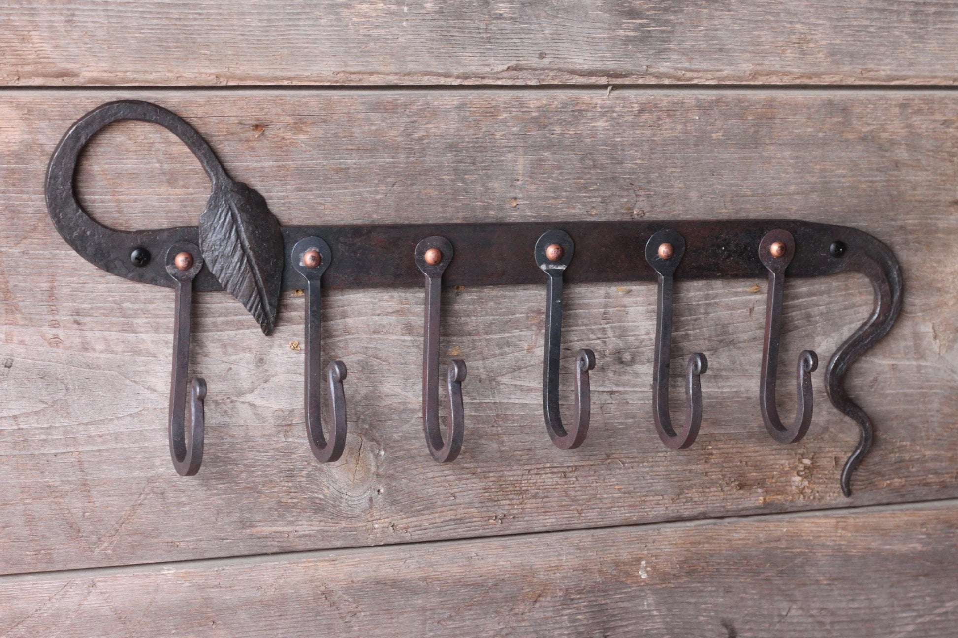 Hand Forged Coat Rack | Organic Leaf & Vine Wall Rack (5 Hooks)-3