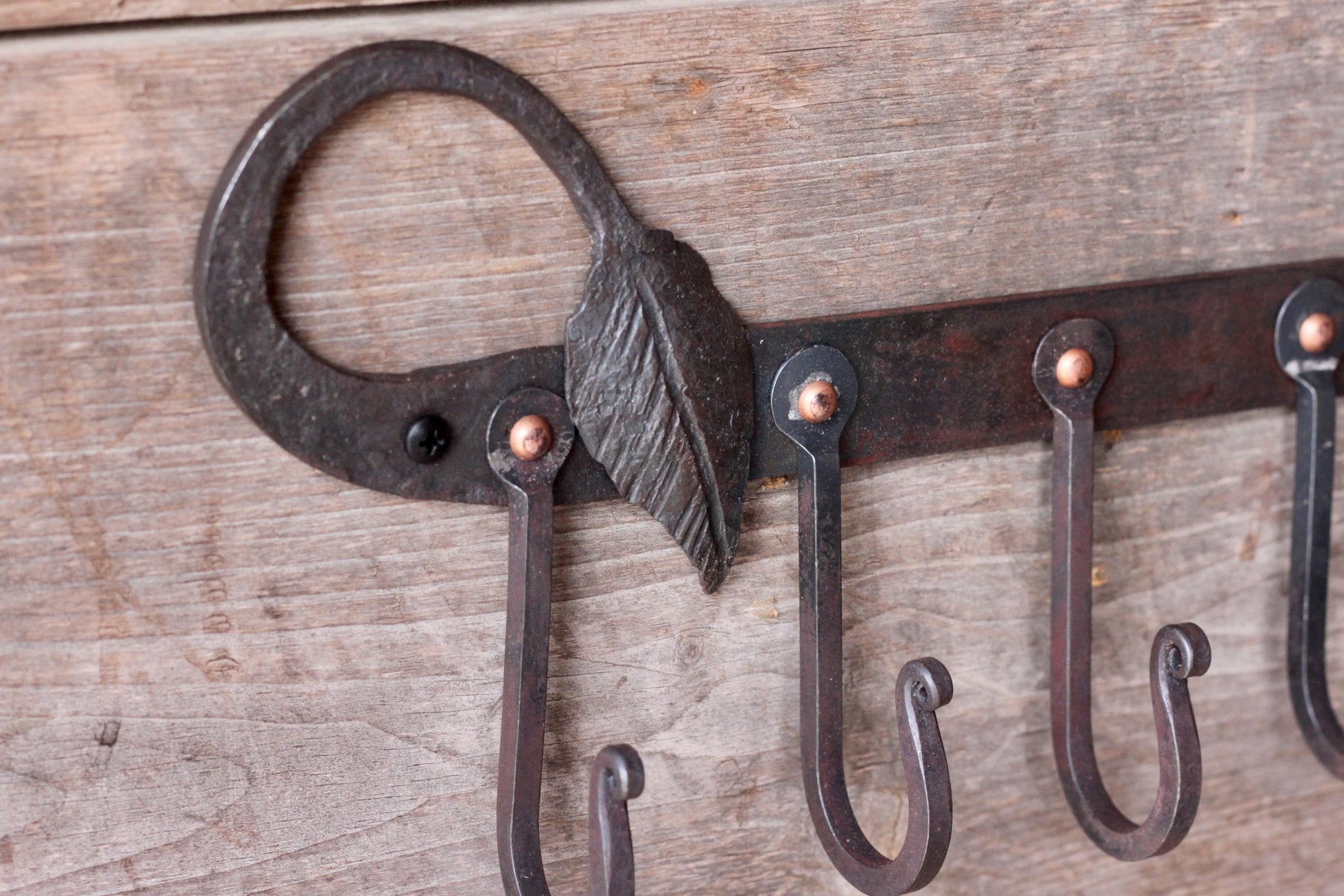 Hand Forged Coat Rack | Organic Leaf & Vine Wall Rack (5 Hooks)-4