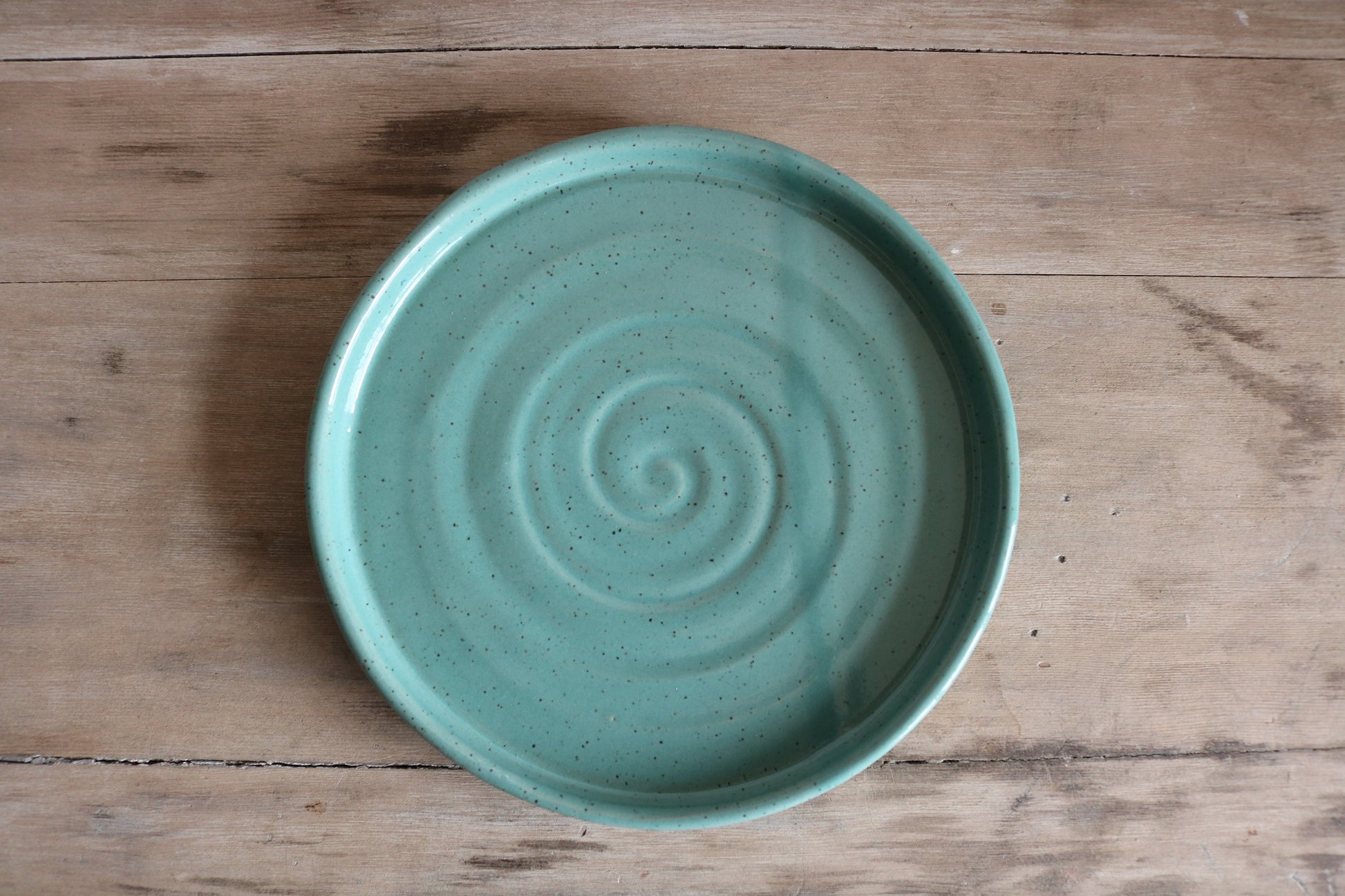 Handmade Earthenware Dinner Plate-15