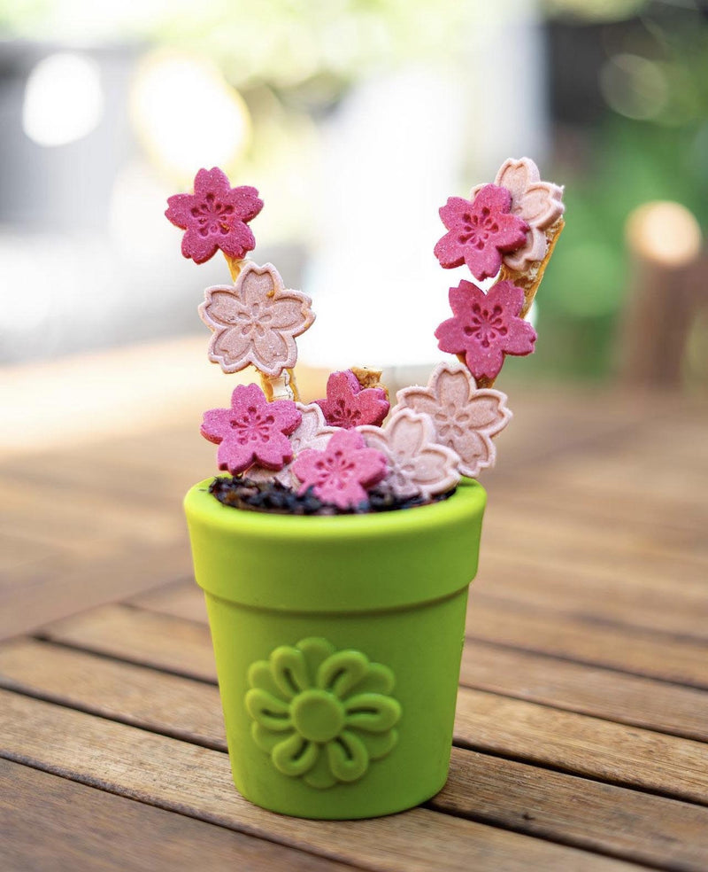 Large Flower Pot eCup Dog Treat Dispenser-zoom-