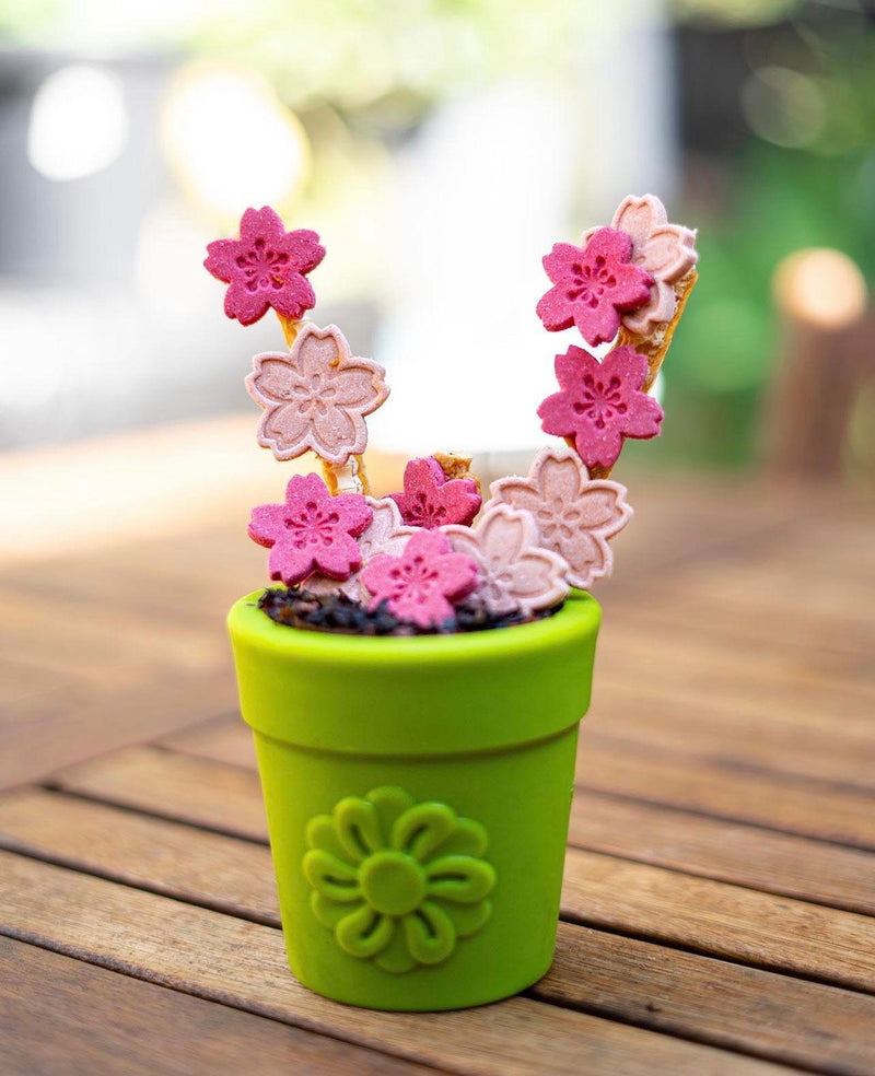 Large Flower Pot eCup Dog Treat Dispenser-zoom-
