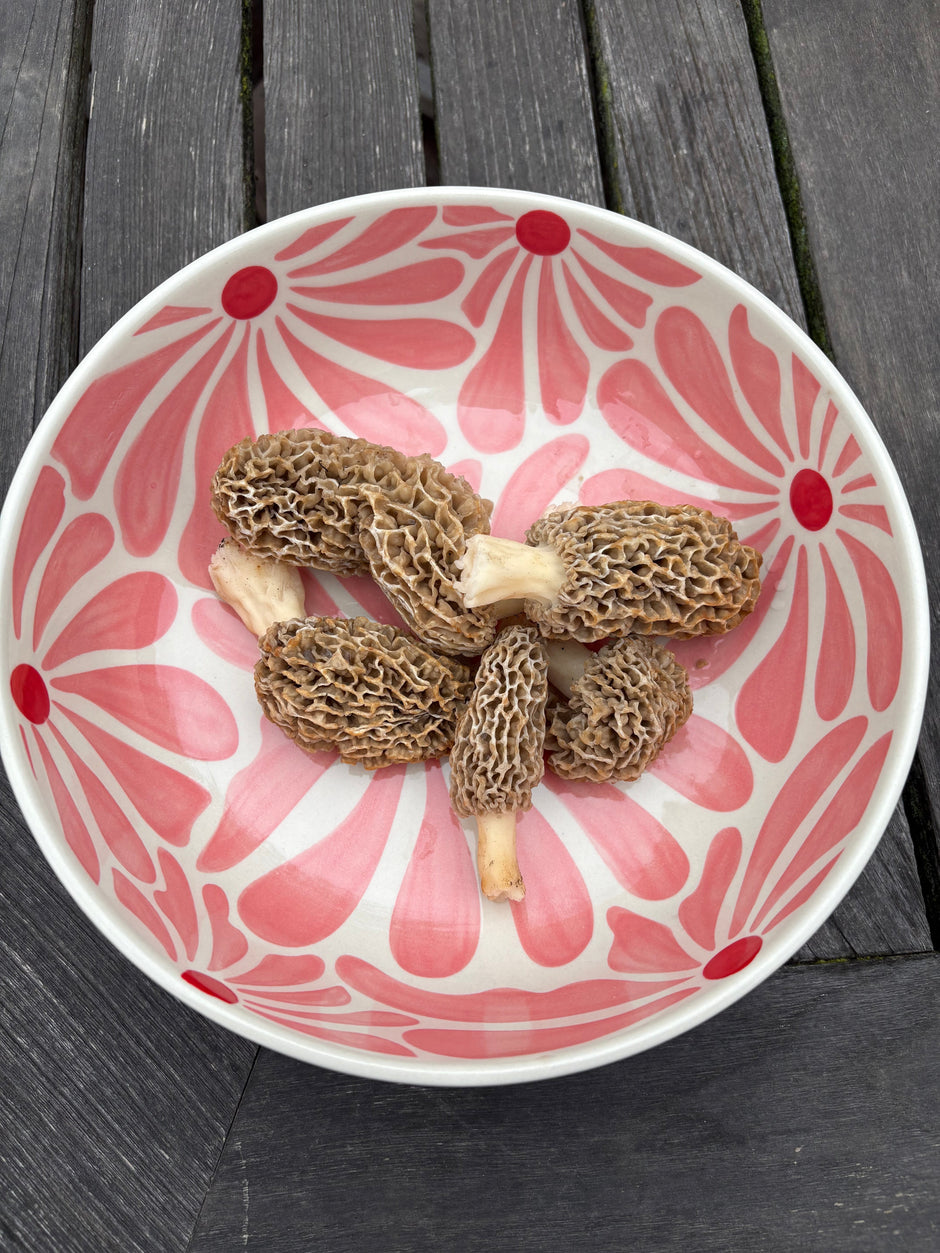 Retro Bowl in Large