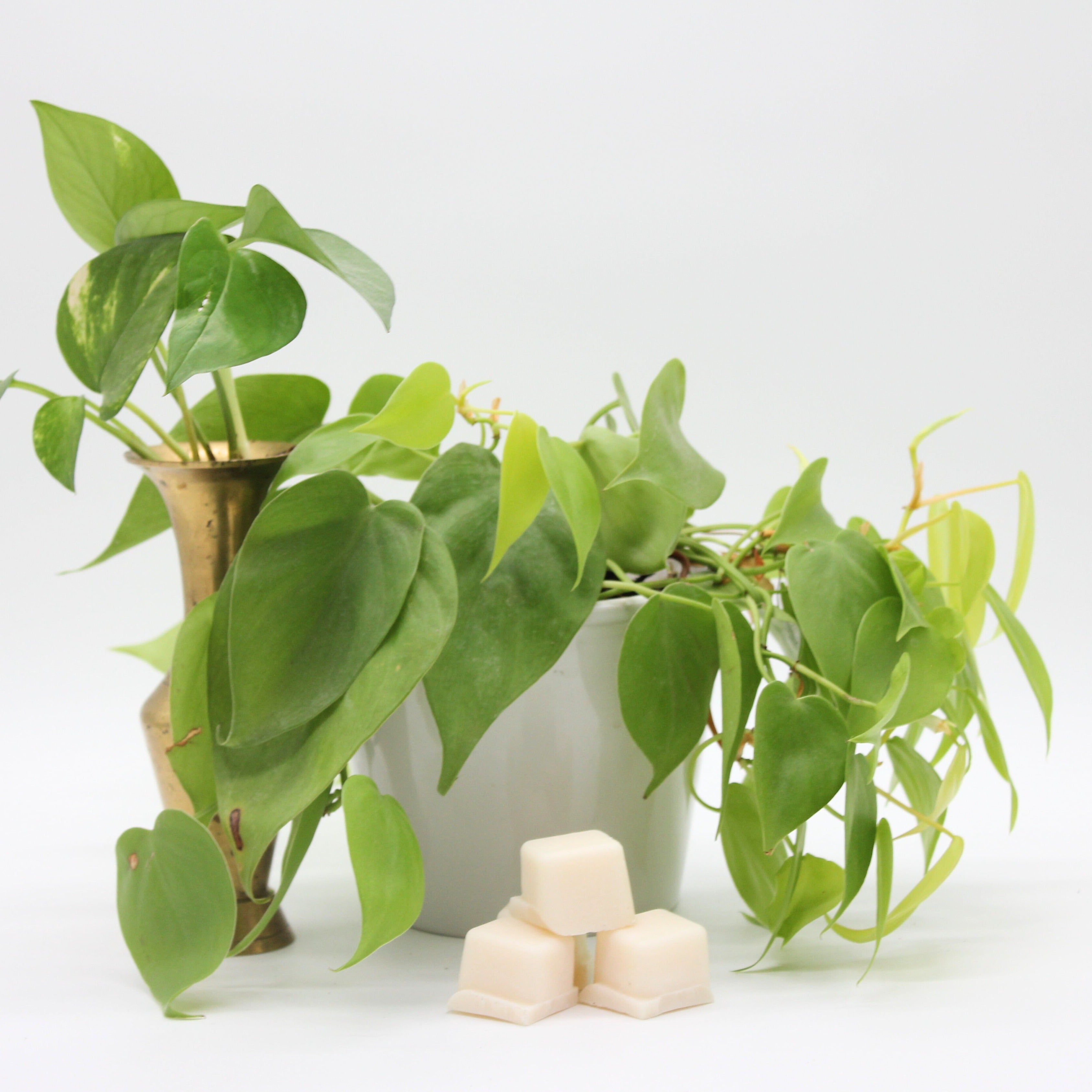 Spring Green Candle-zoom-12