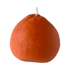 Large Grapefruit Candle - Aware House