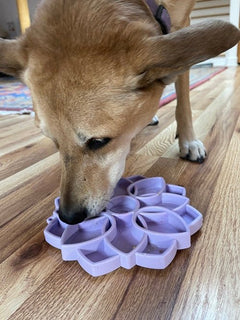 Mandala Softie eTray Shallow Slow Feeder Dog Bowl - Aware House