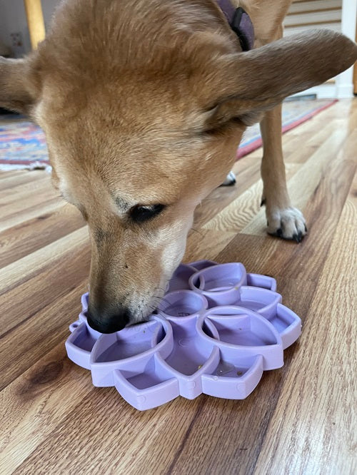 Mandala Softie eTray Shallow Slow Feeder Dog Bowl-zoom-9