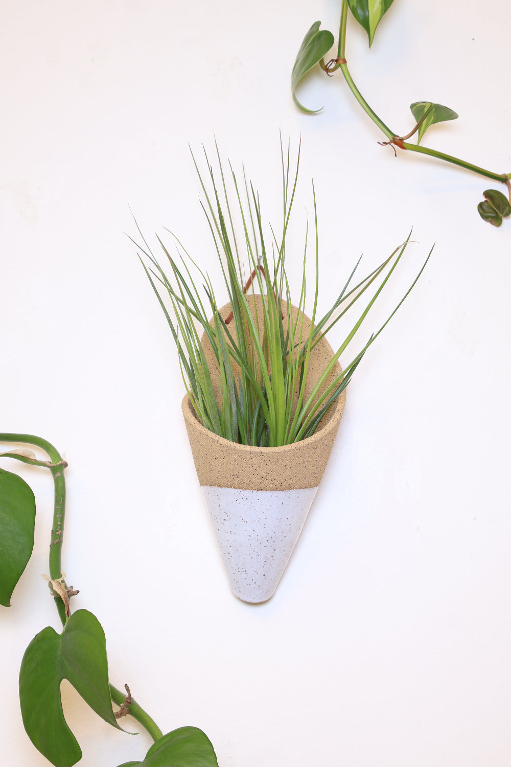 Large Ceramic Wall Planter-zoom-5