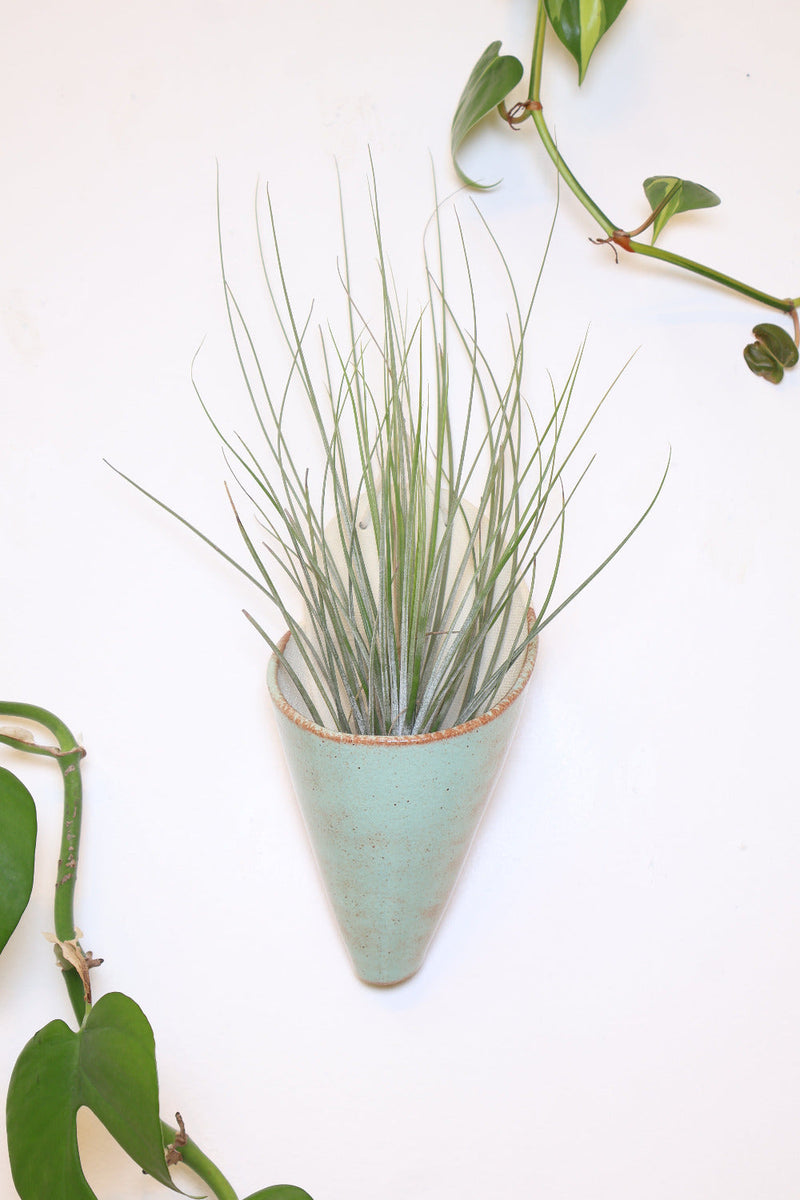 Large Ceramic Wall Planter-zoom-
