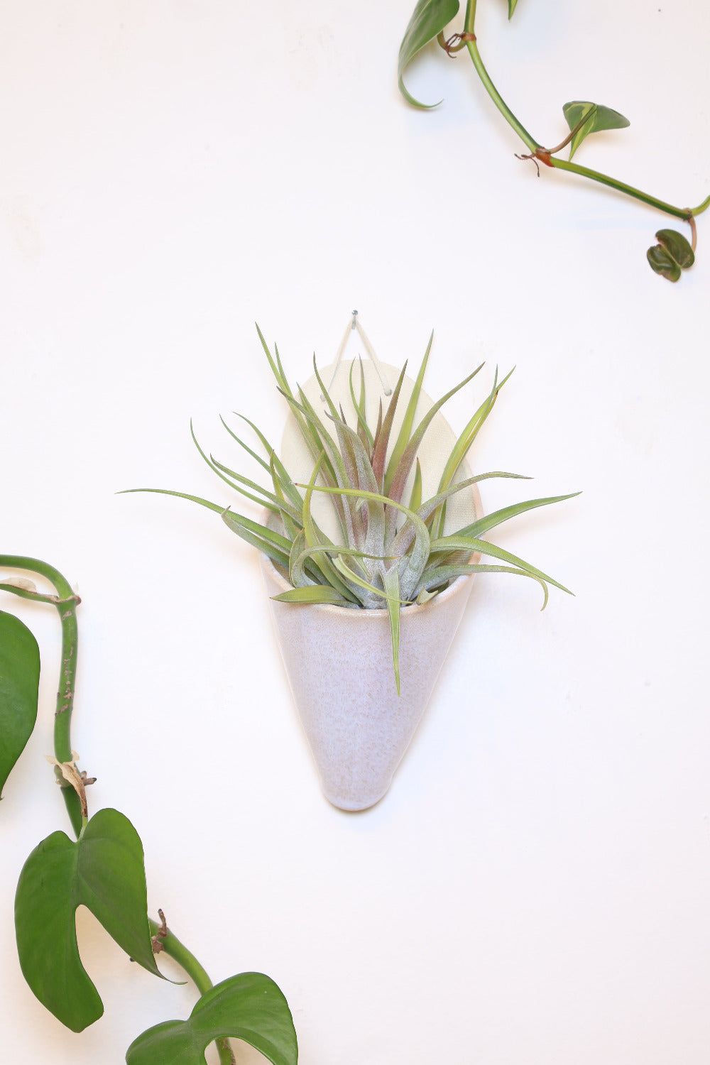 Large Ceramic Wall Planter-2
