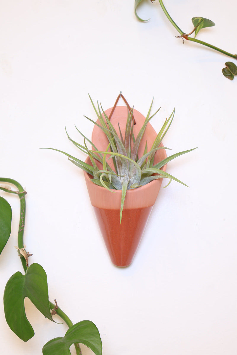 Large Ceramic Wall Planter-zoom-