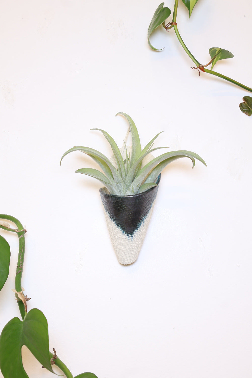 Medium Ceramic Wall Planter-3