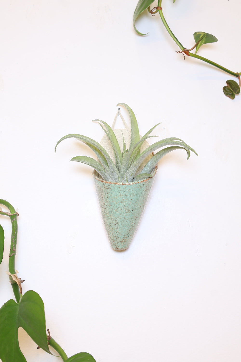Medium Ceramic Wall Planter-zoom-2