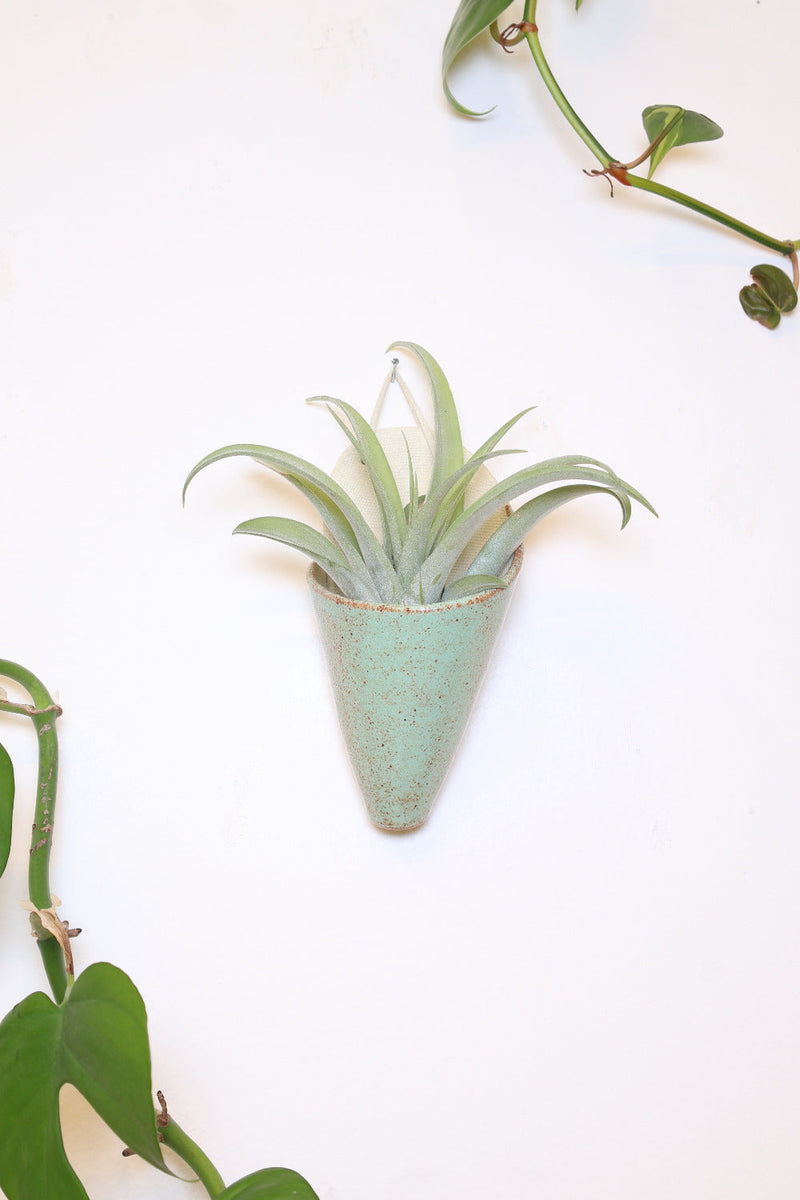 Medium Ceramic Wall Planter-zoom-