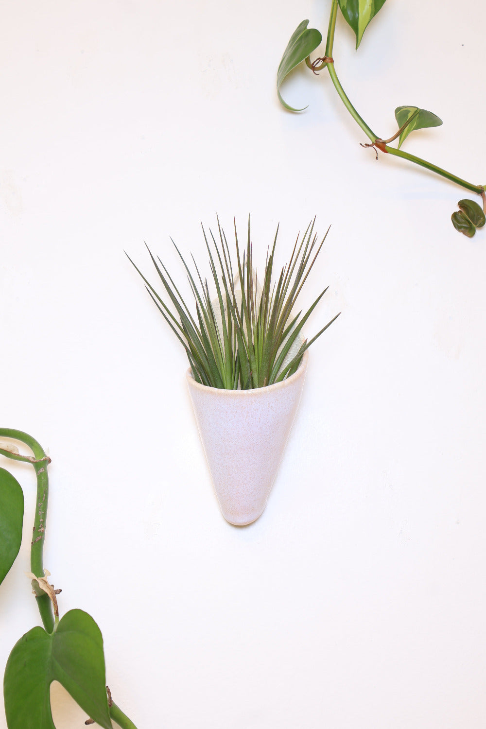 Medium Ceramic Wall Planter-zoom-4