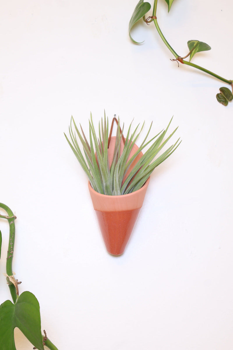 Medium Ceramic Wall Planter-zoom-