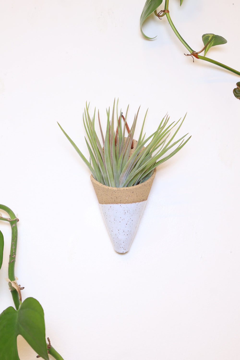 Medium Ceramic Wall Planter-zoom-5