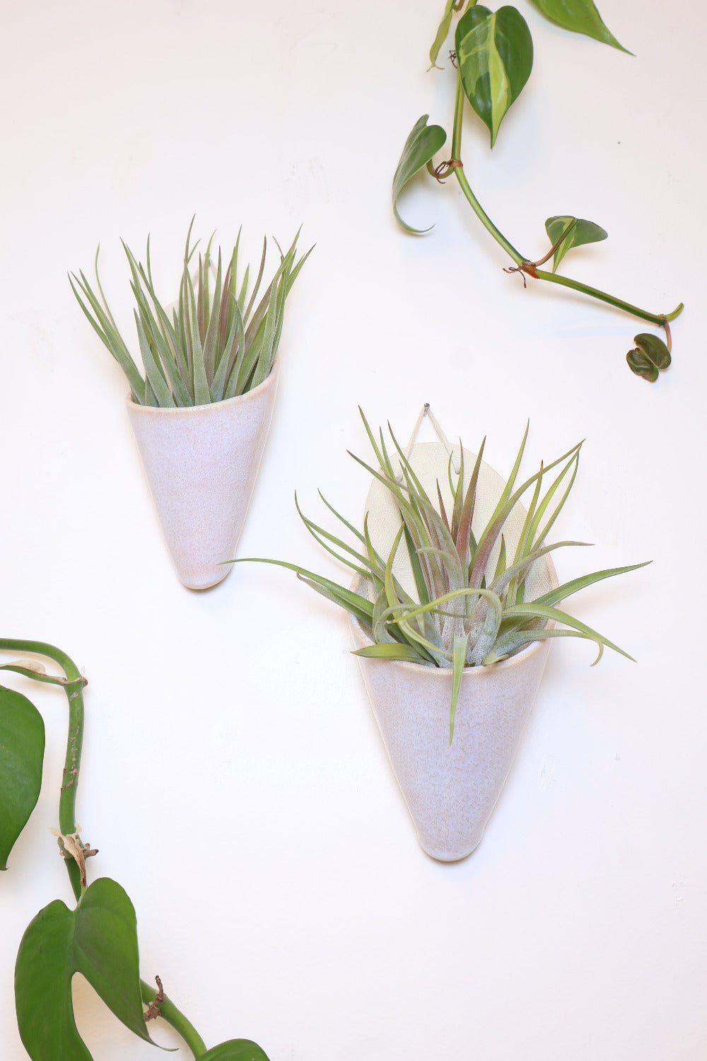 Large Ceramic Wall Planter-zoom-7