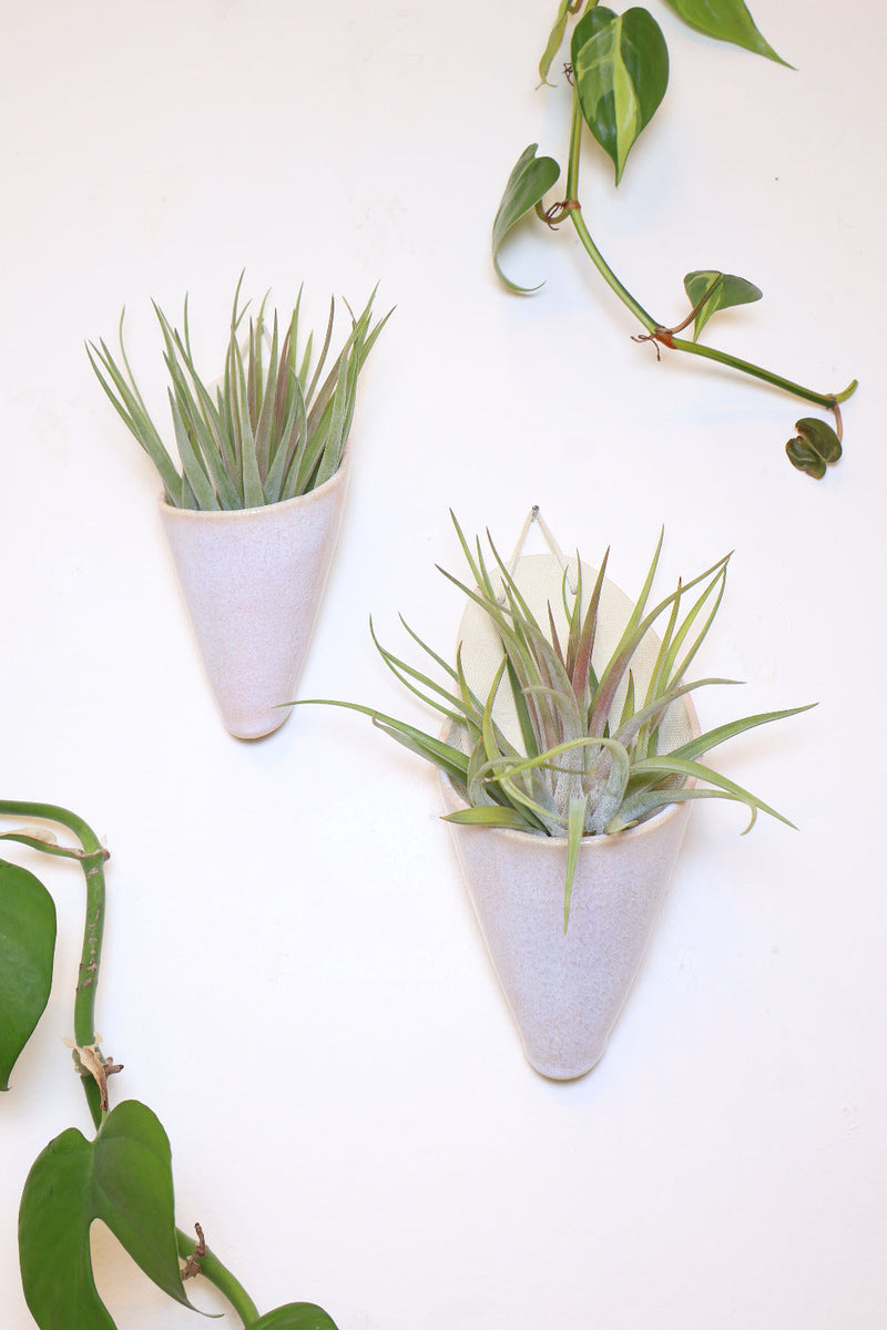 Large Ceramic Wall Planter-zoom-