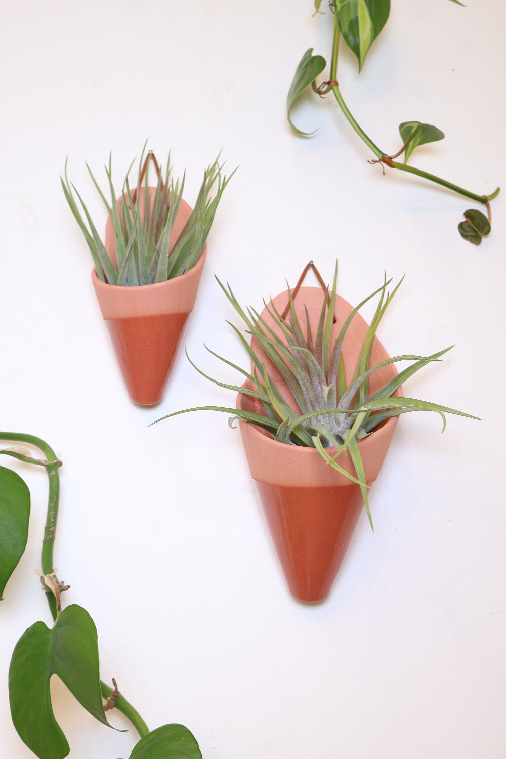 Large Ceramic Wall Planter-zoom-9