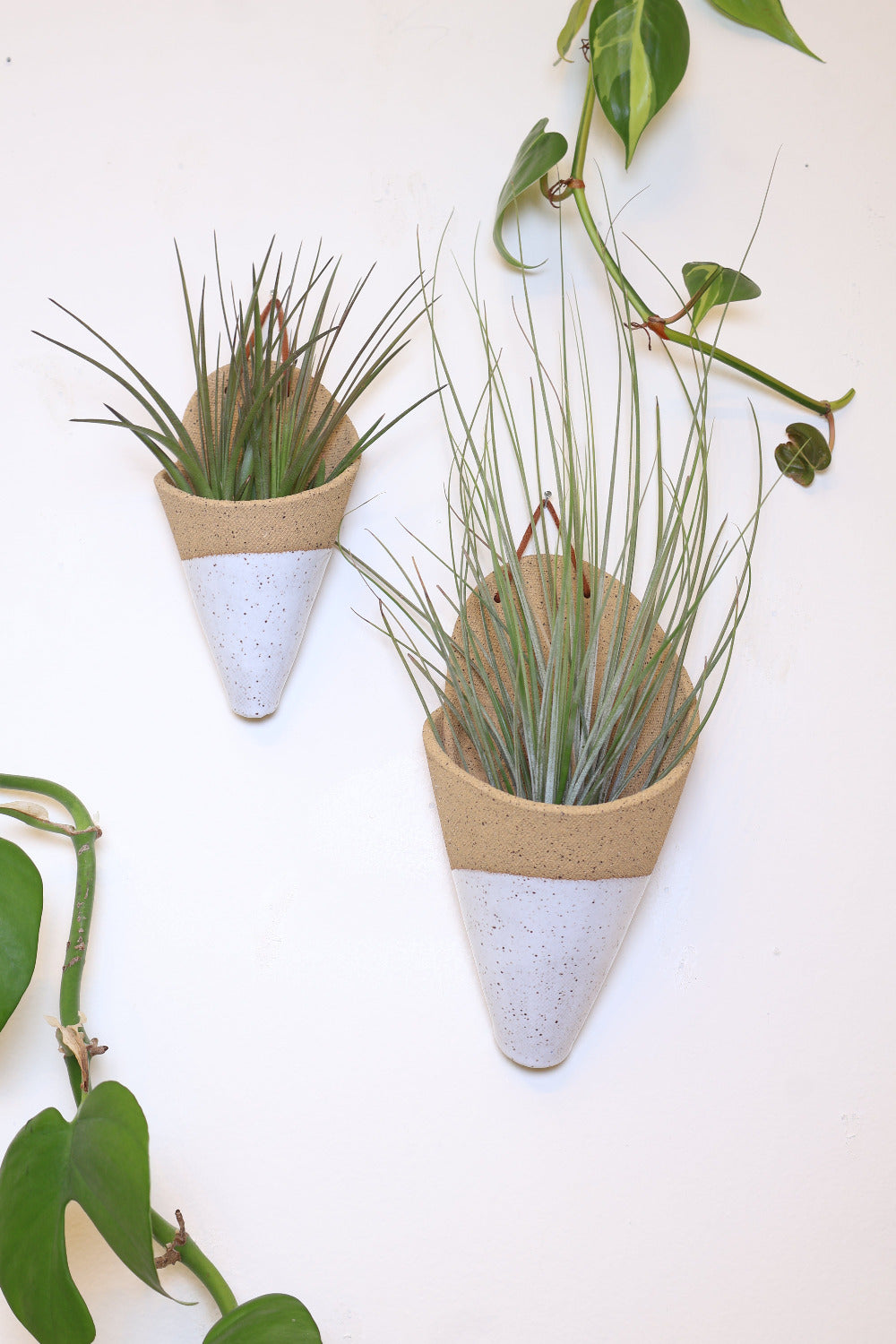 Medium Ceramic Wall Planter-11