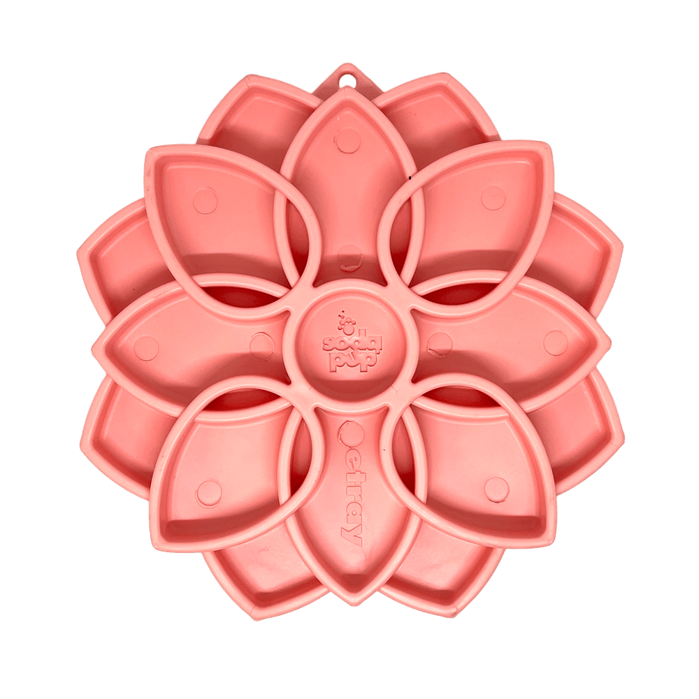 Mandala Softie eTray Shallow Slow Feeder Dog Bowl - Aware House