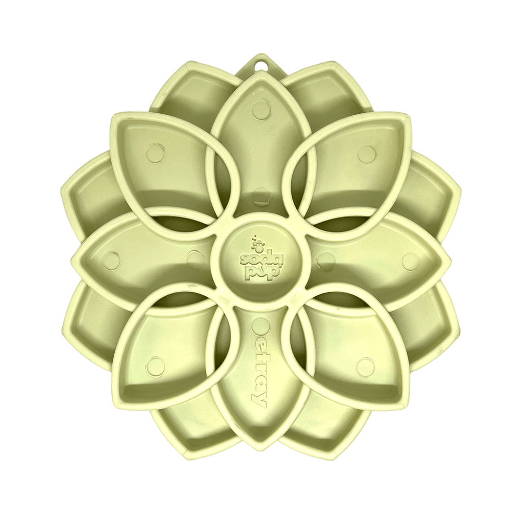 Mandala Softie eTray Shallow Slow Feeder Dog Bowl - Aware House