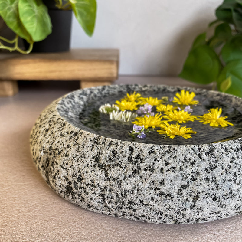 Stone Dish-zoom-