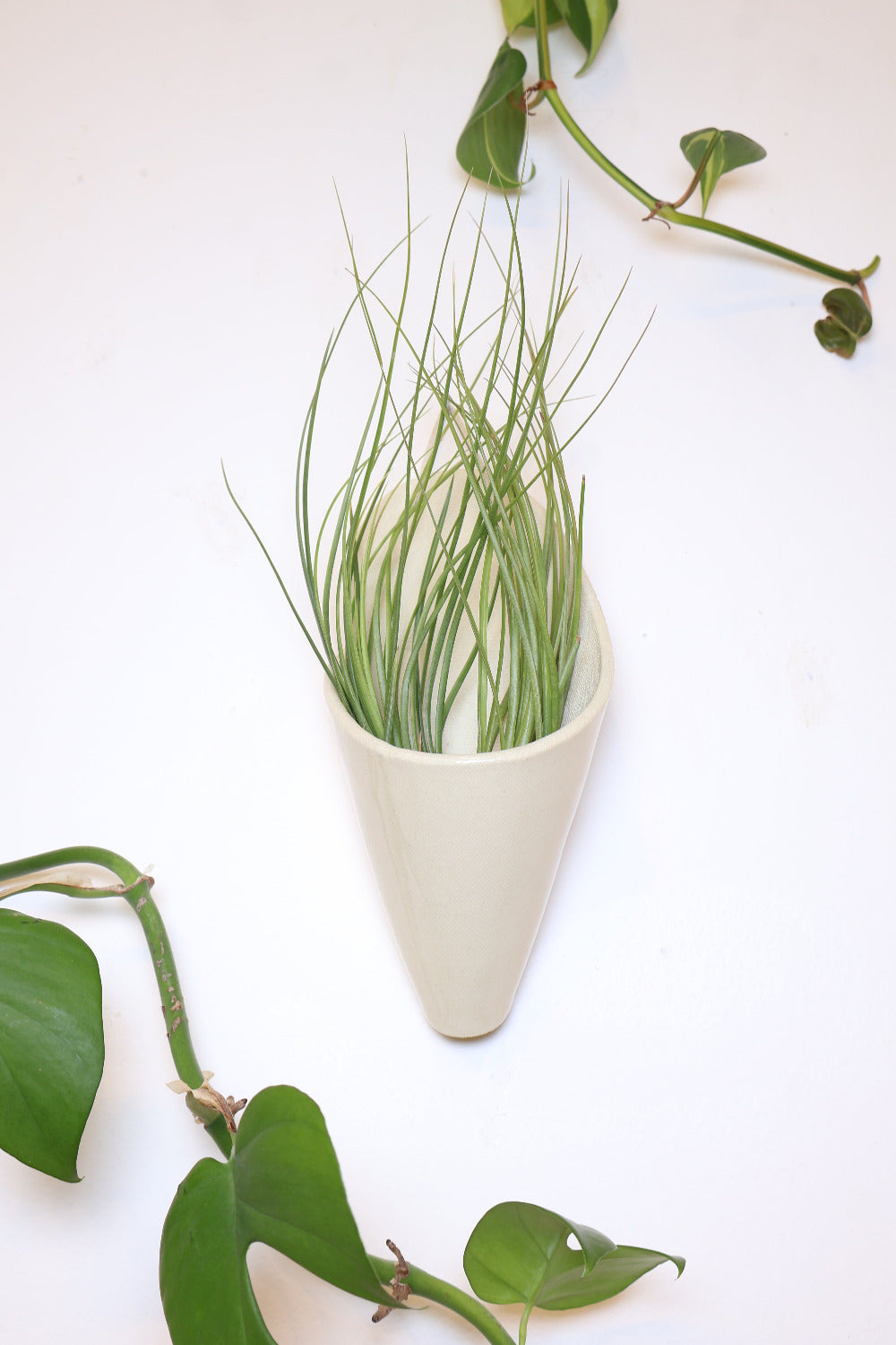Large Ceramic Wall Planter-zoom-7