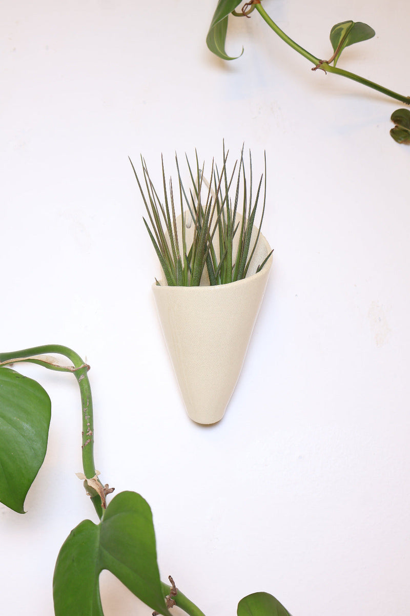 Medium Ceramic Wall Planter-zoom-