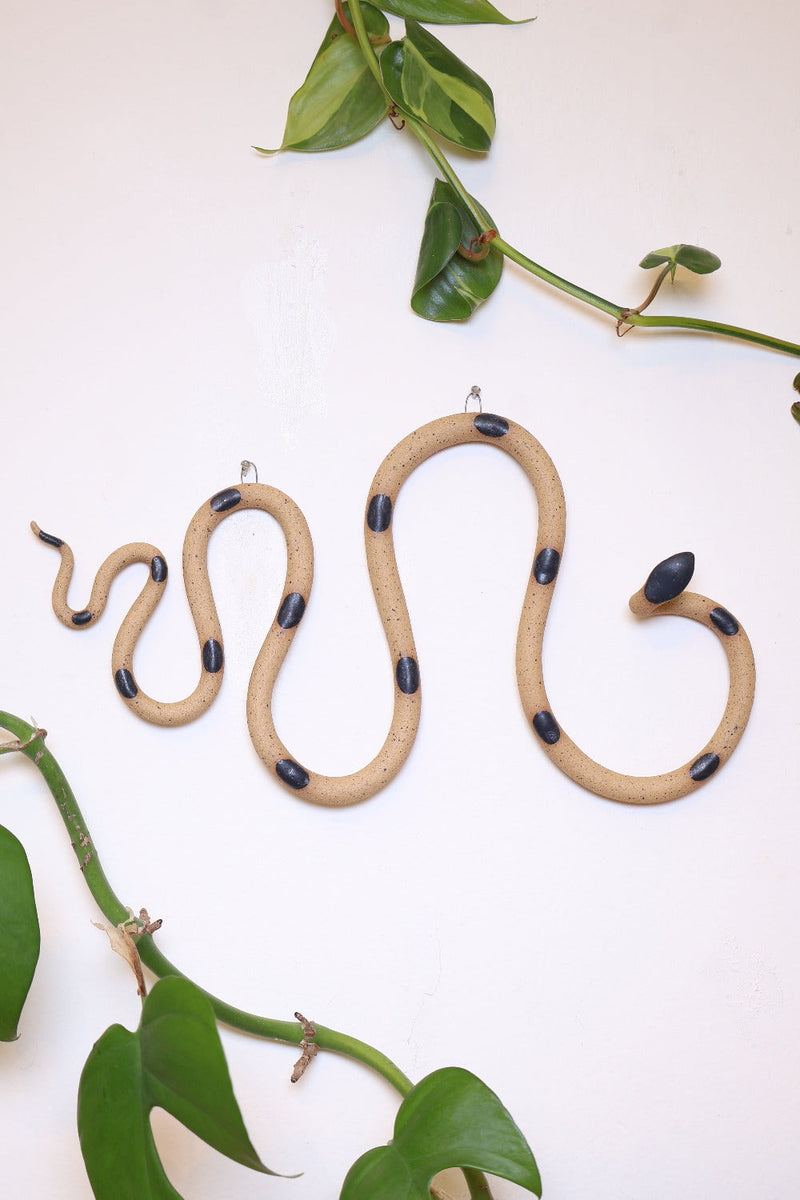 Horizontal Wall Snake-zoom-