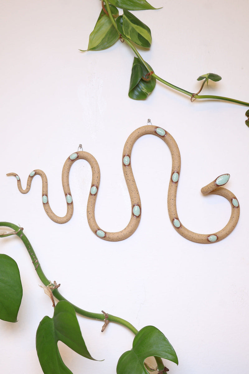 Horizontal Wall Snake-zoom-